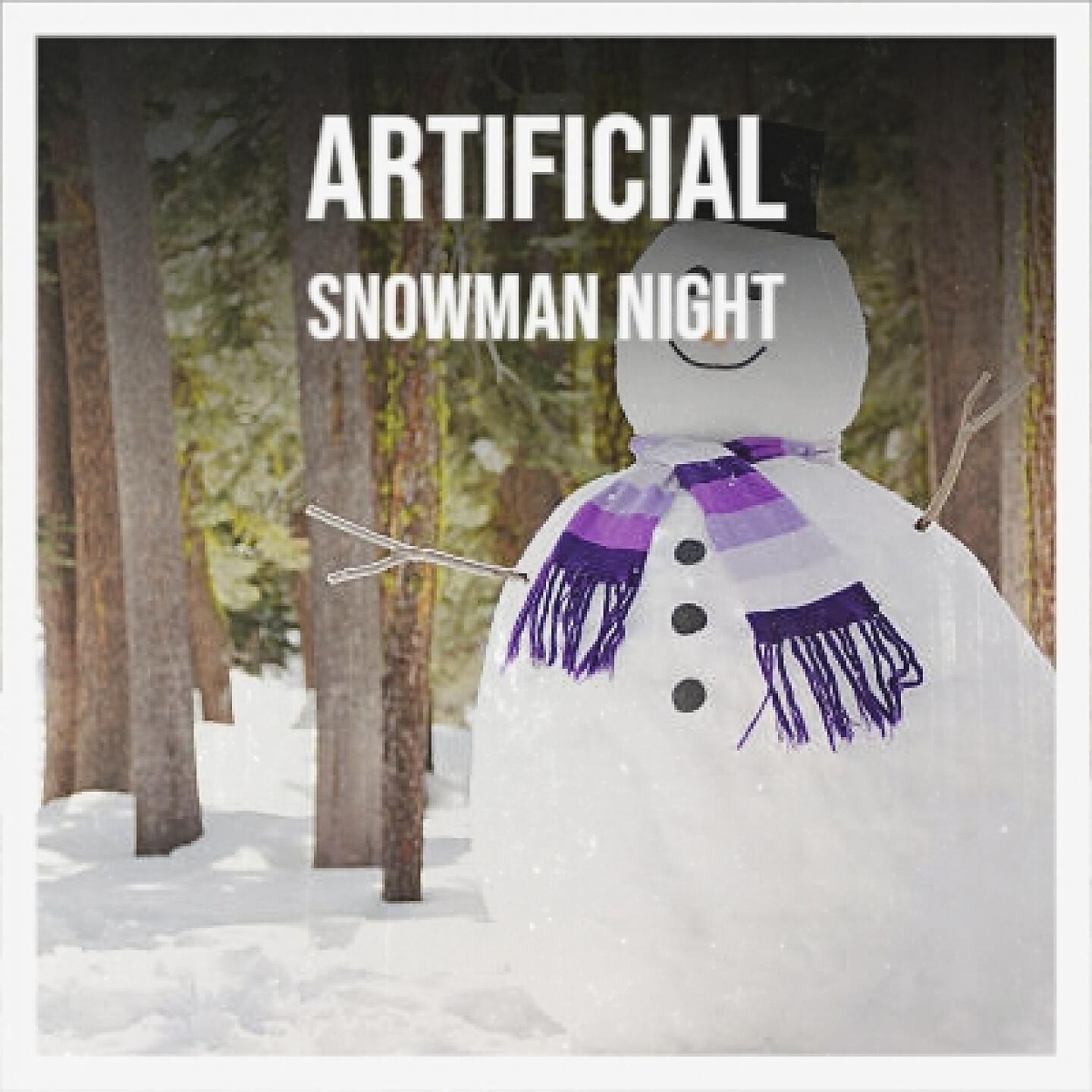 Релиз Artificial Snowman Night