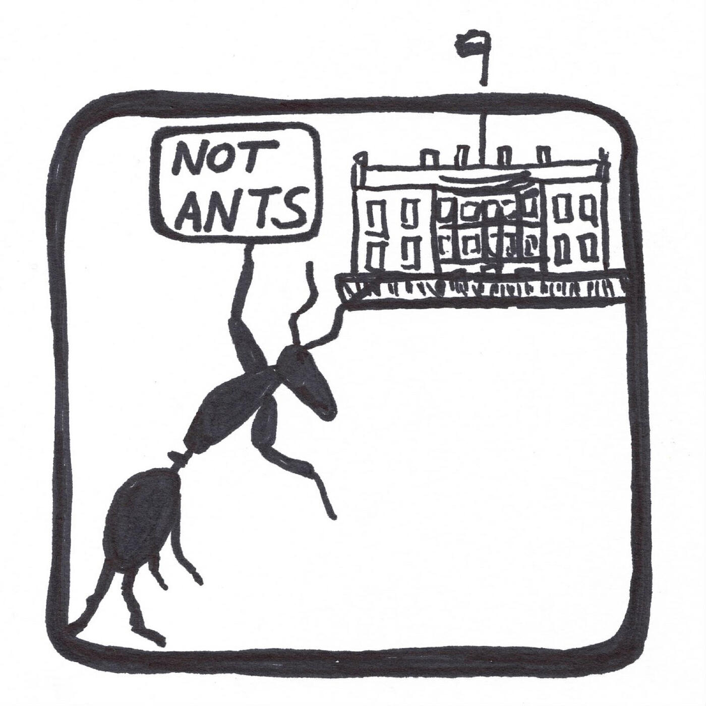 Релиз Not Ants