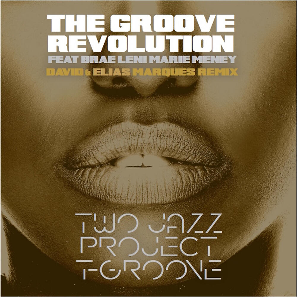 Релиз The Groove Revolution (David Marques & Elias Marques Remix)