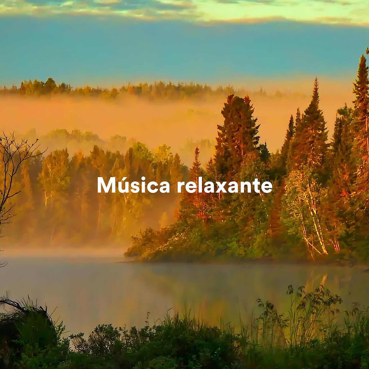 Релиз Música relaxante