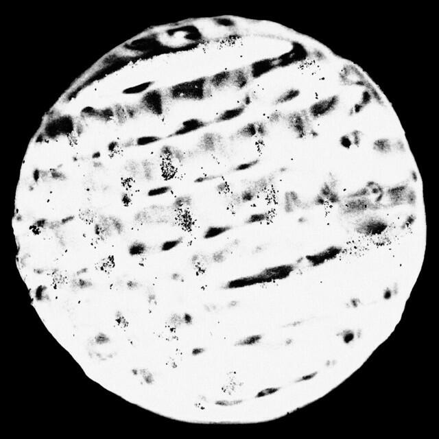 Релиз Sagrada Remixes