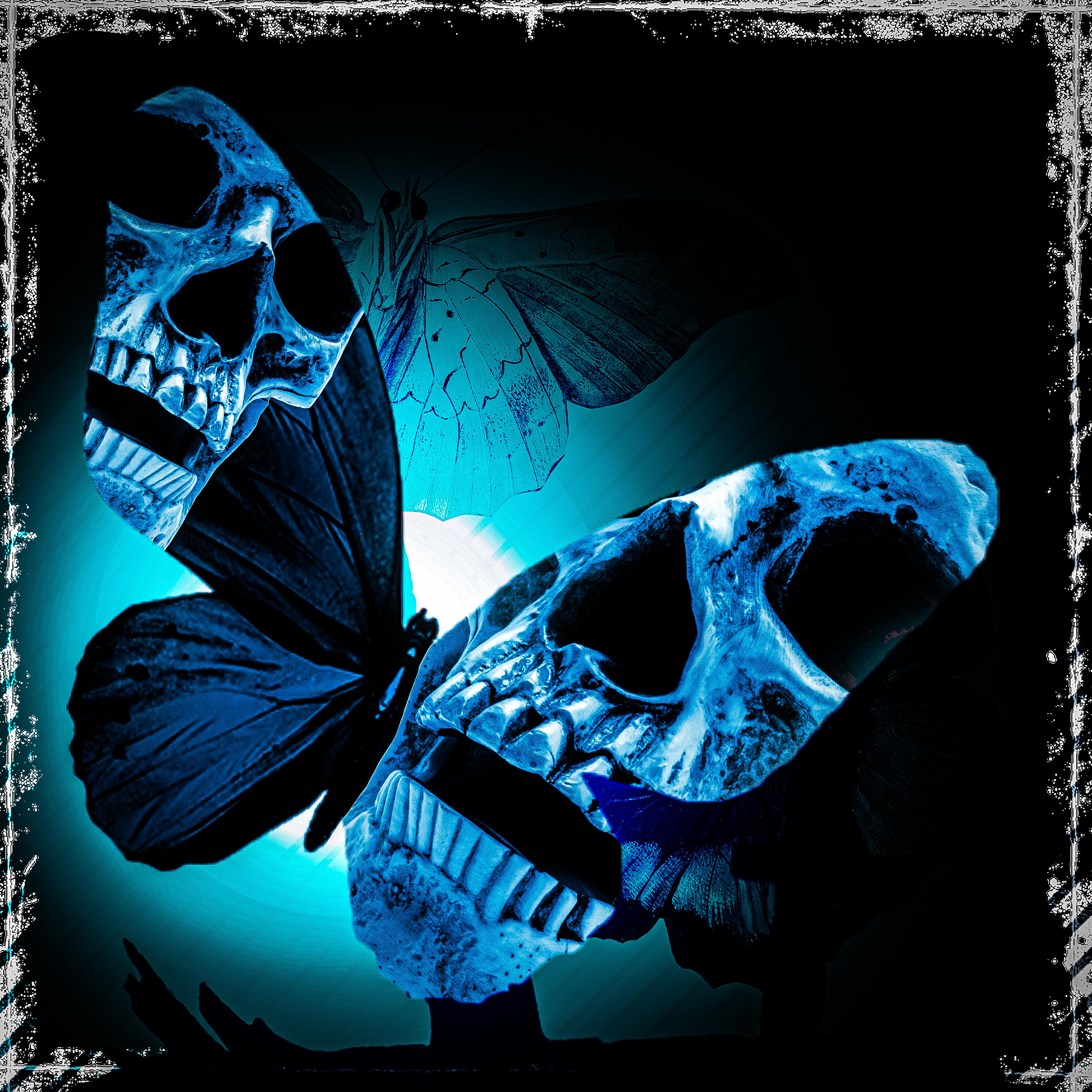Релиз Bxttxrflx