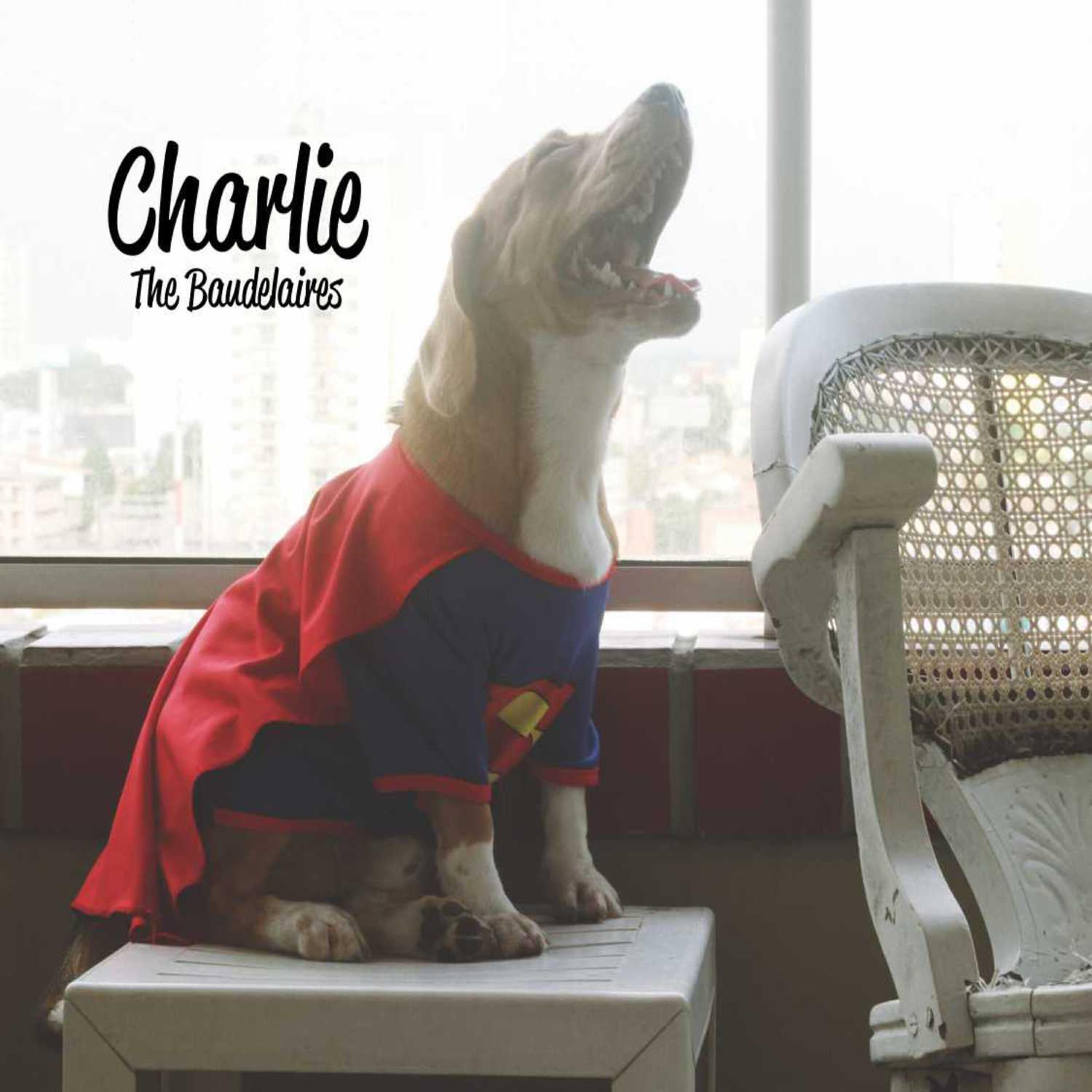 Релиз Charlie