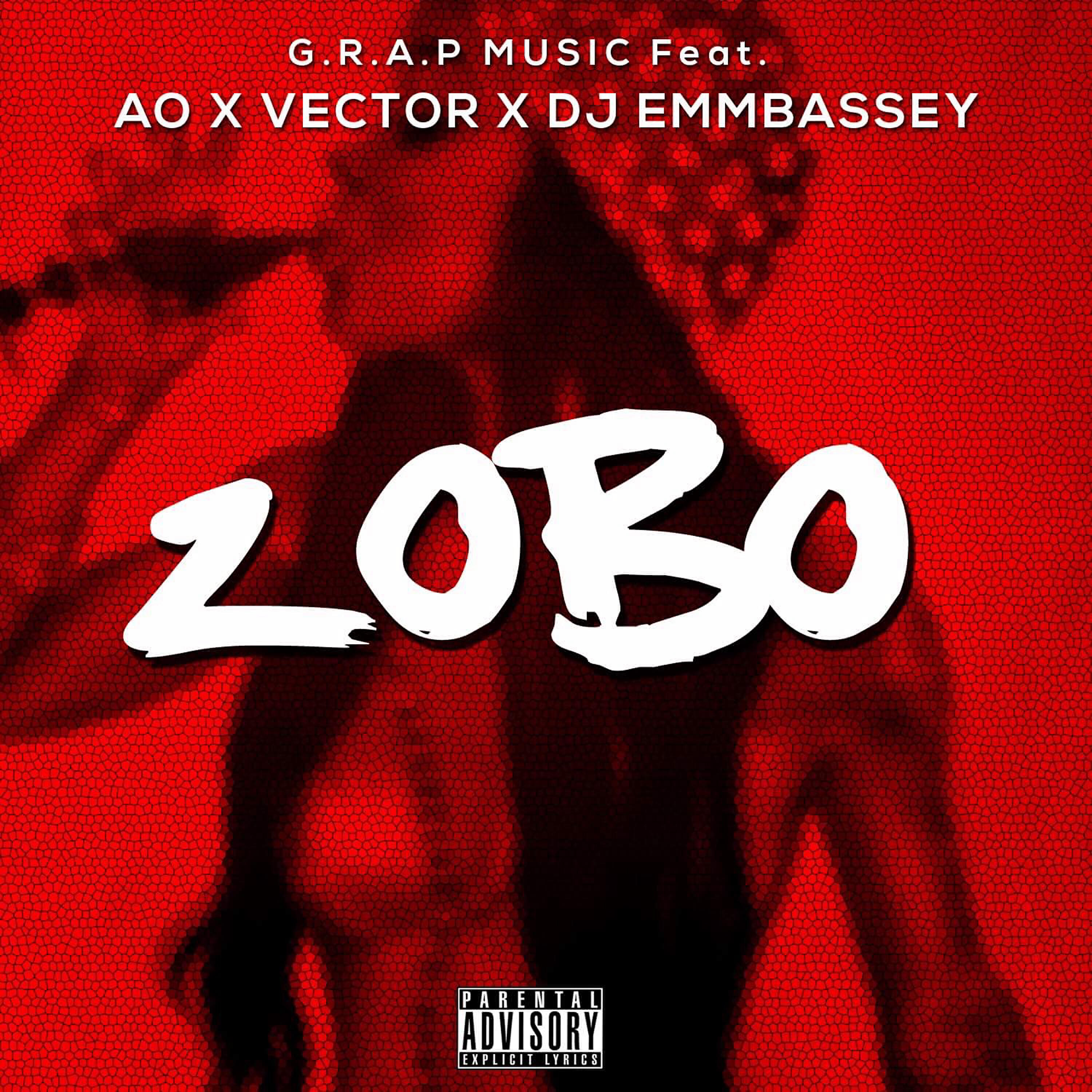 Релиз Zobo