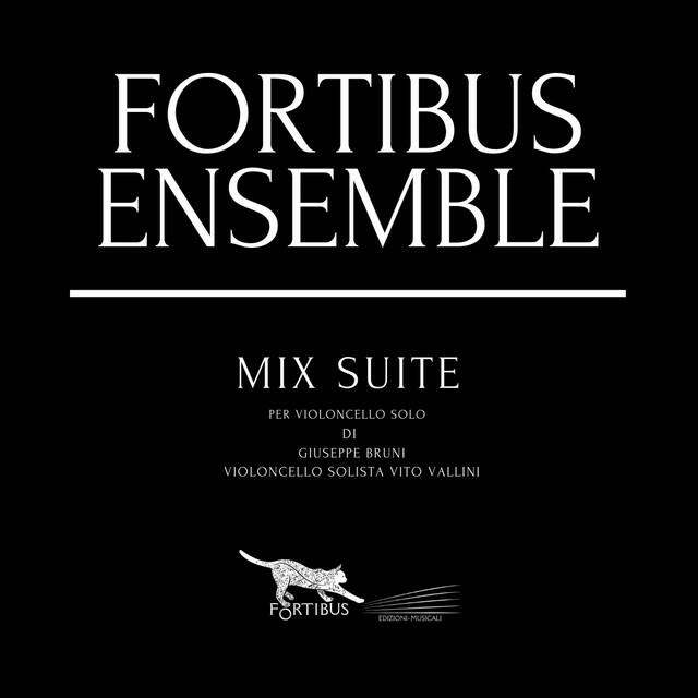 Релиз Mix Suite