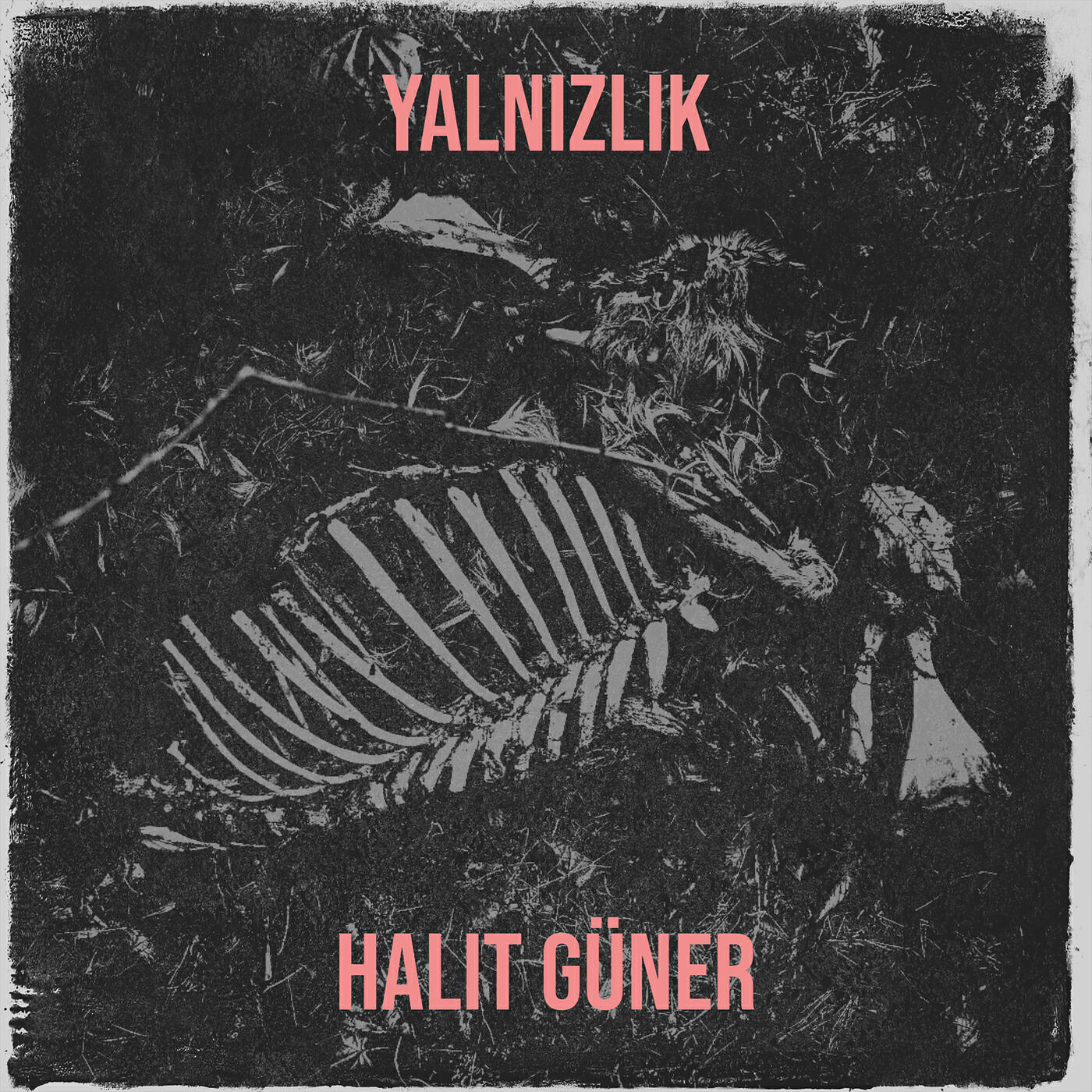 Релиз Yalnızlık