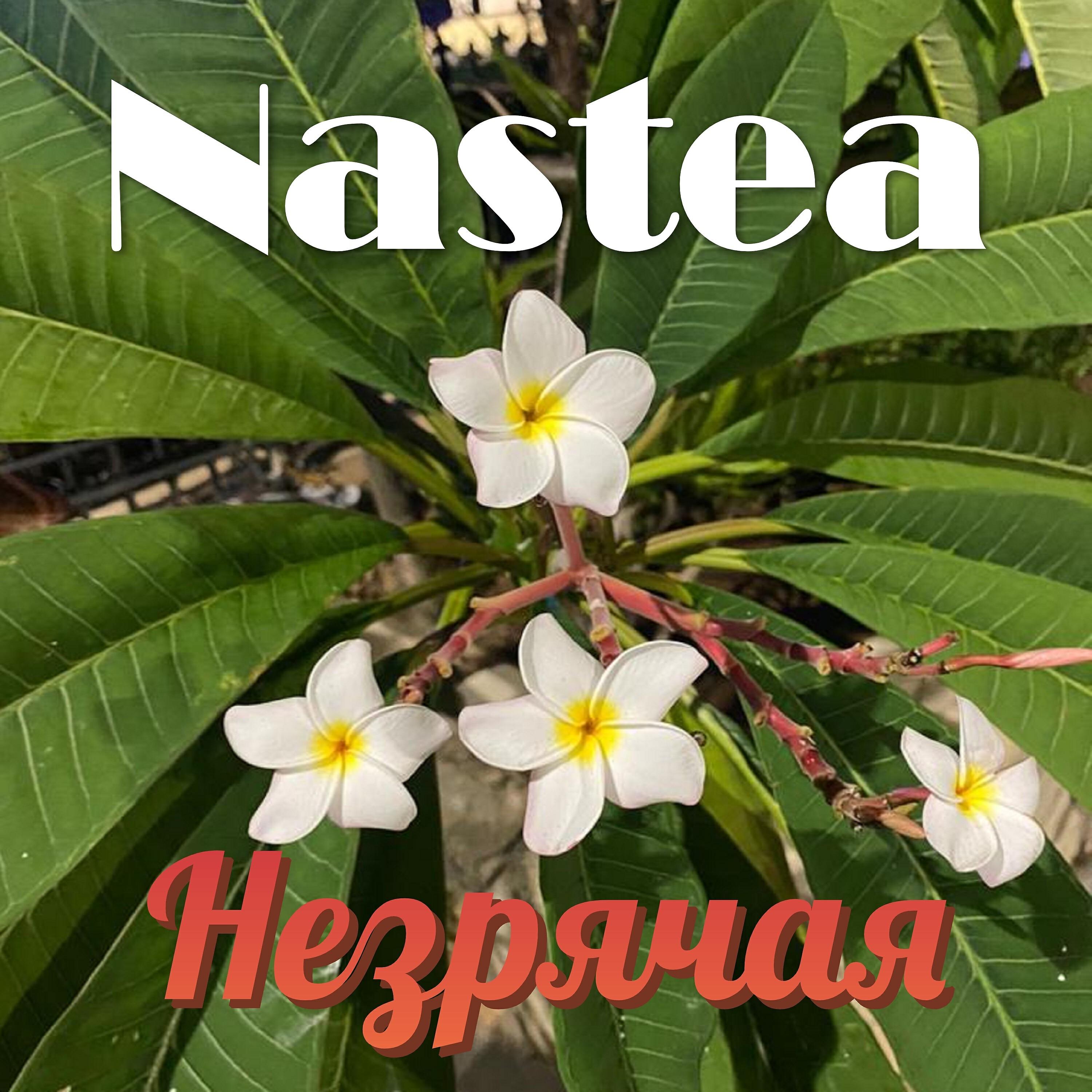 Релиз Незрячая