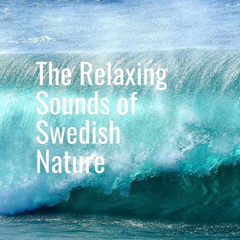 Релиз Relaxing Island Waves