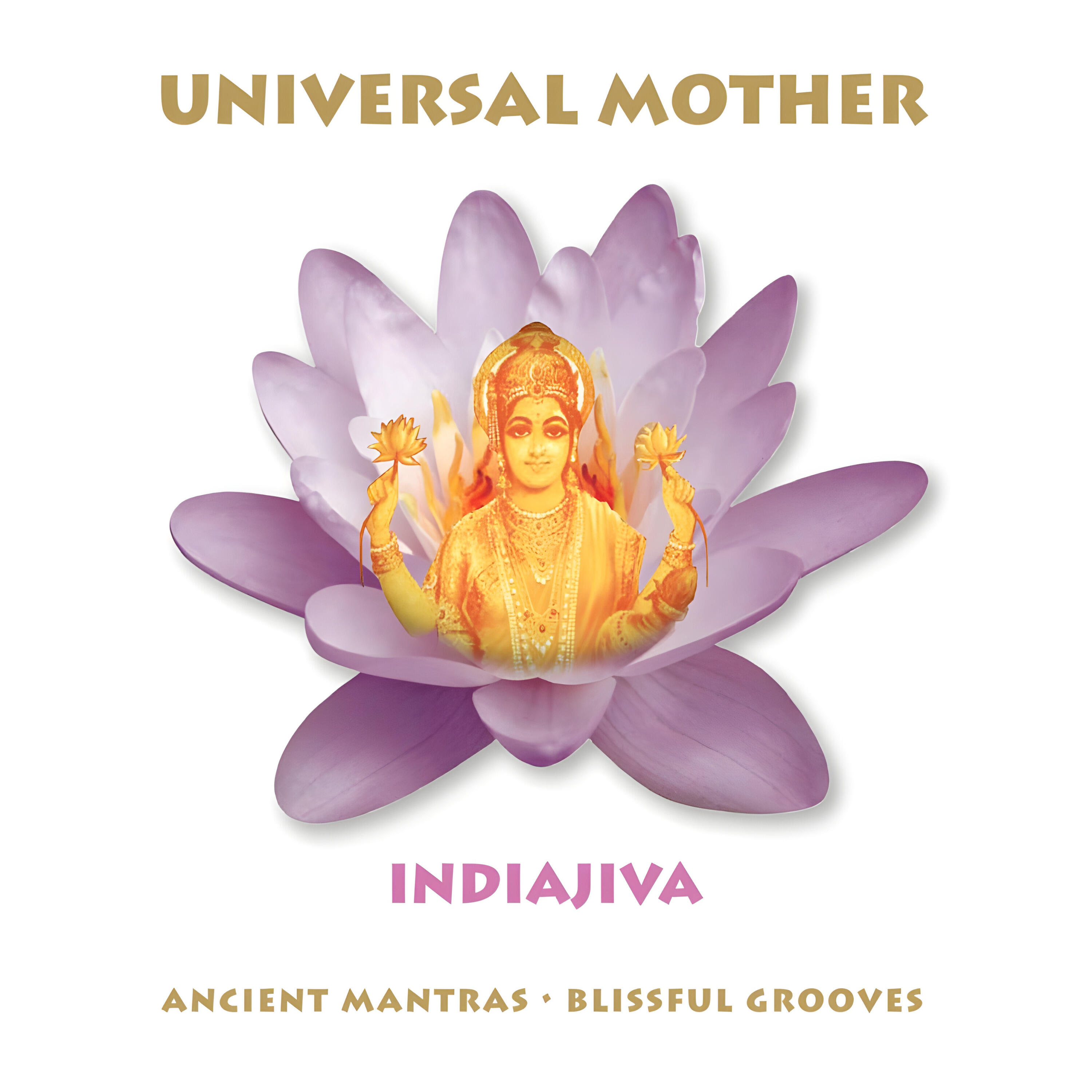 Релиз Universal Mother