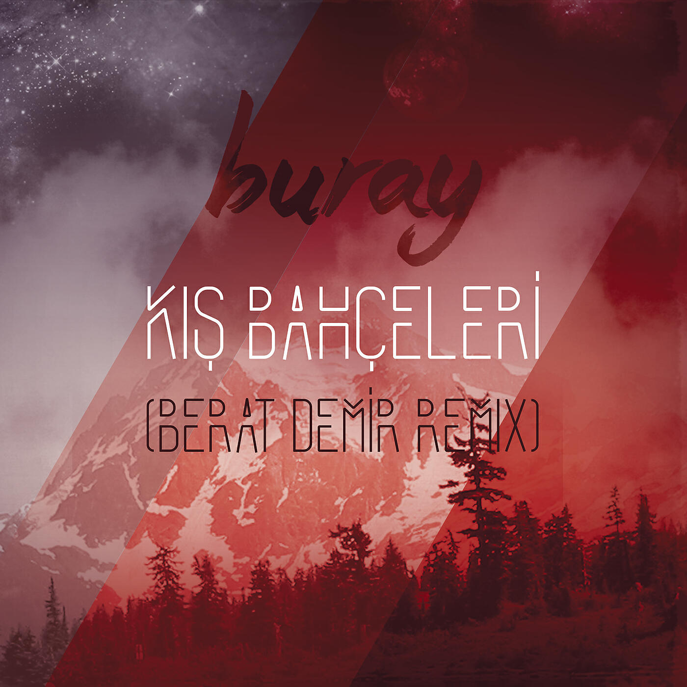 Постер альбома Kış Bahçeleri (Berat Demir Remix)
