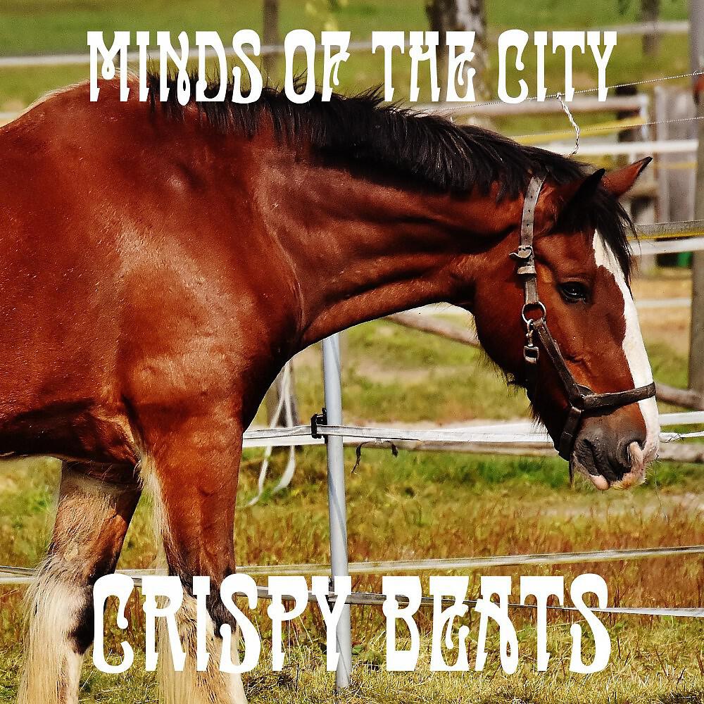 Релиз Minds of the City