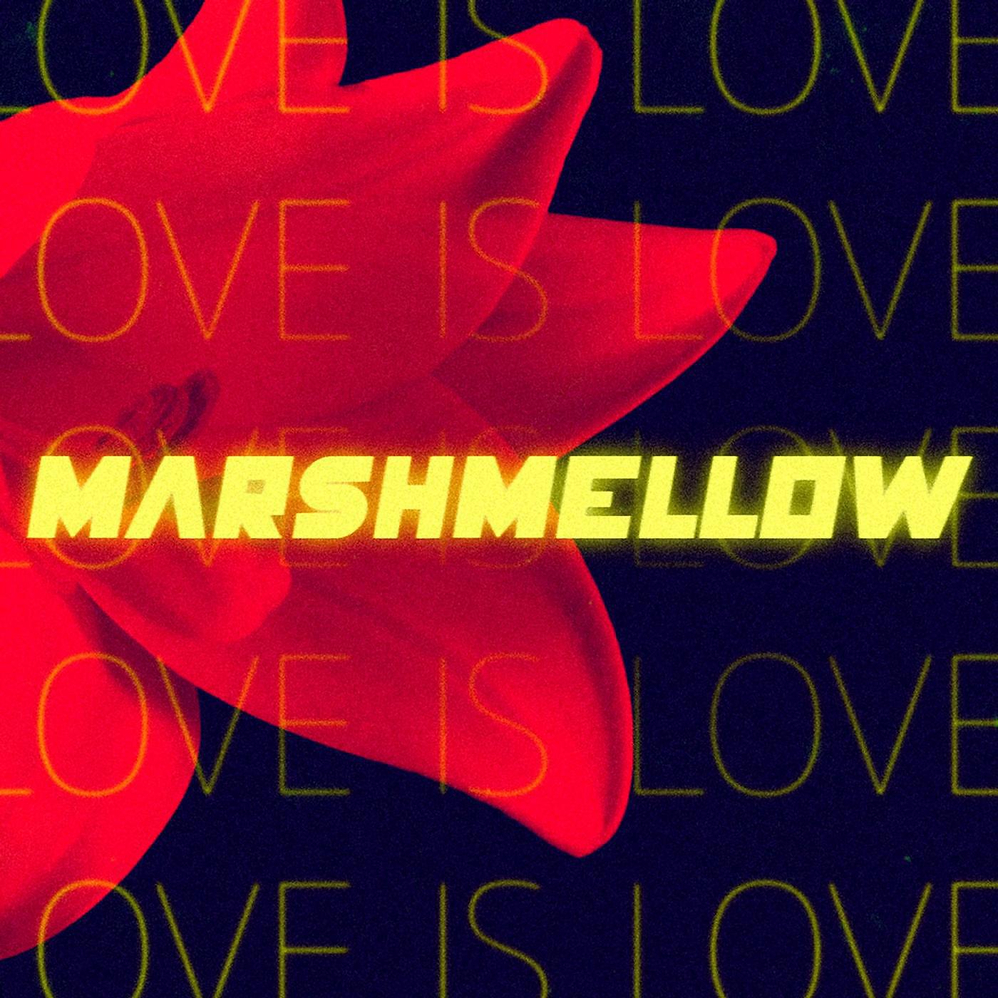Релиз Love Is Love
