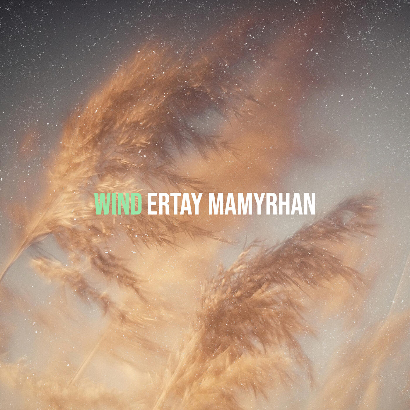 Релиз Wind