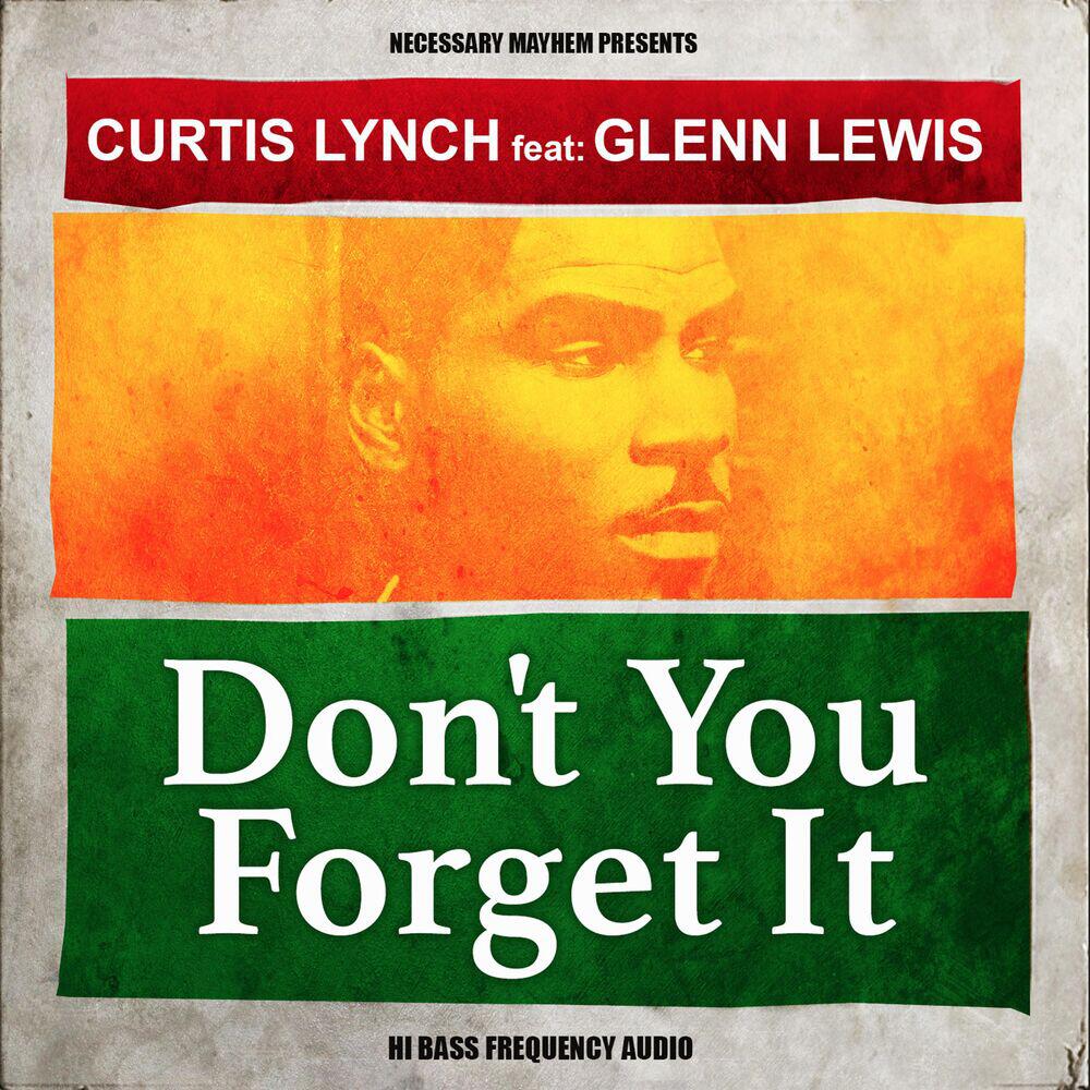 Релиз Don't You Forget It (Reggae Mix)