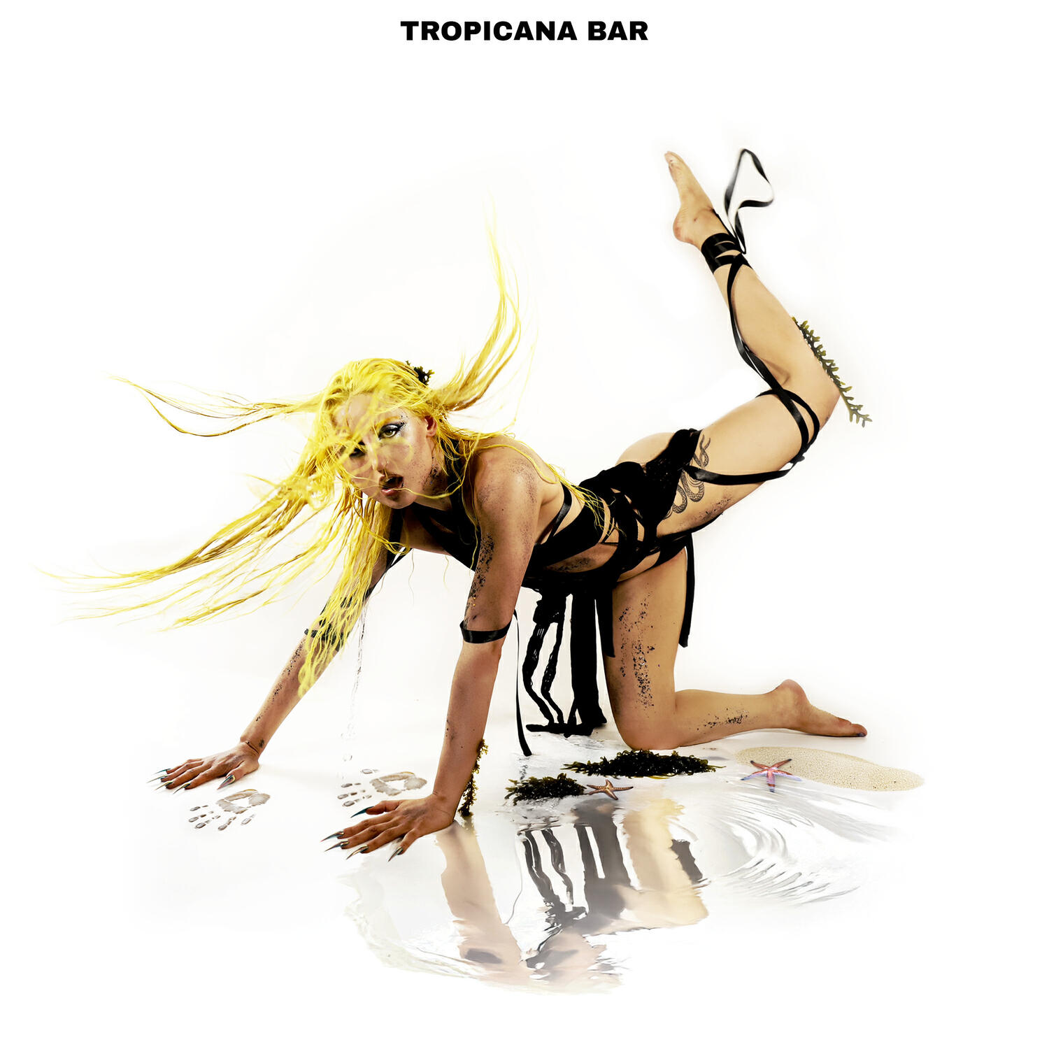 Релиз TROPICANA BAR