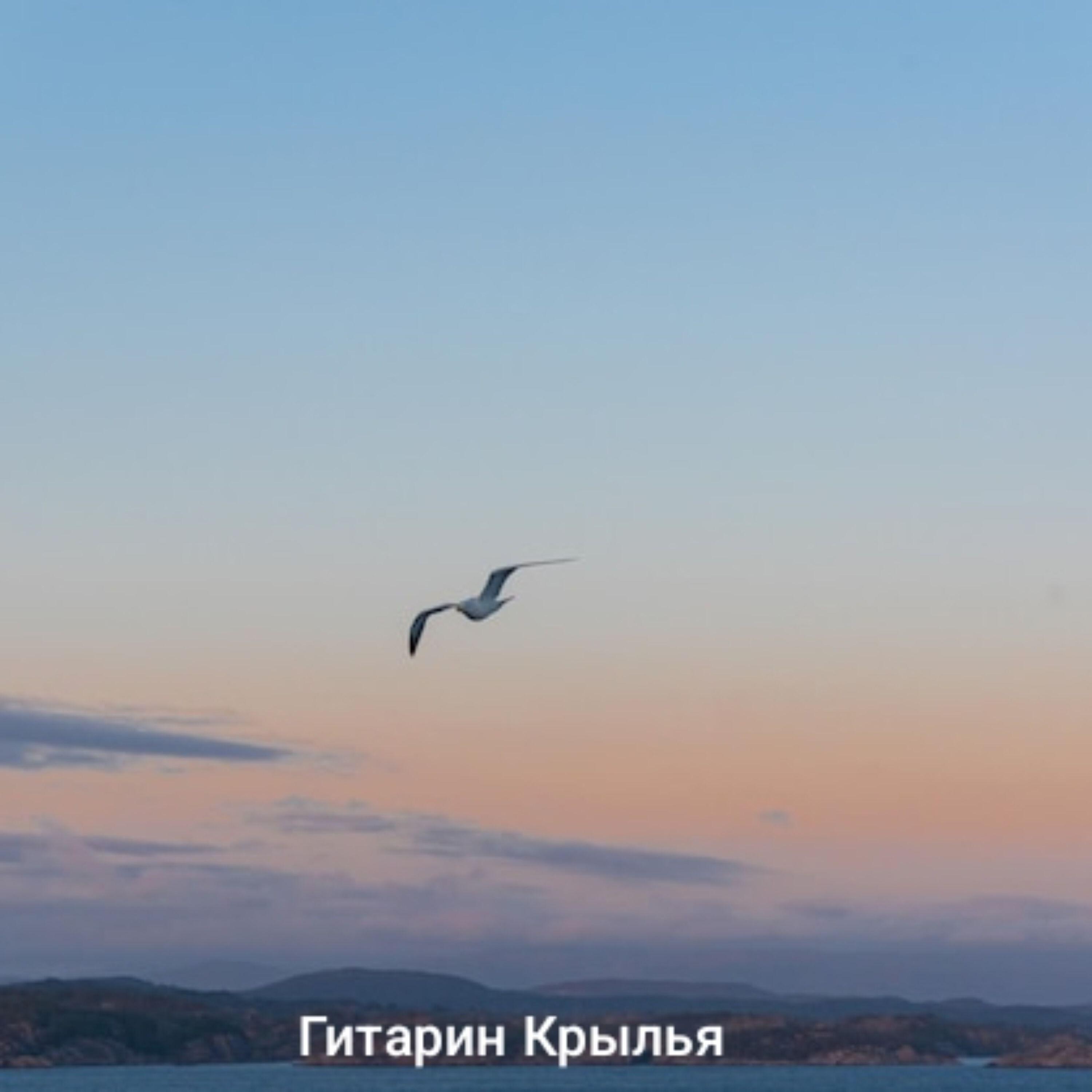 Релиз Крылья