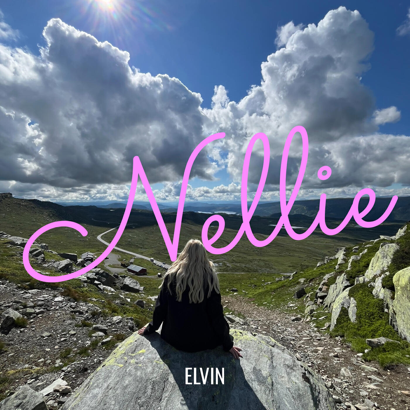 Релиз Nellie