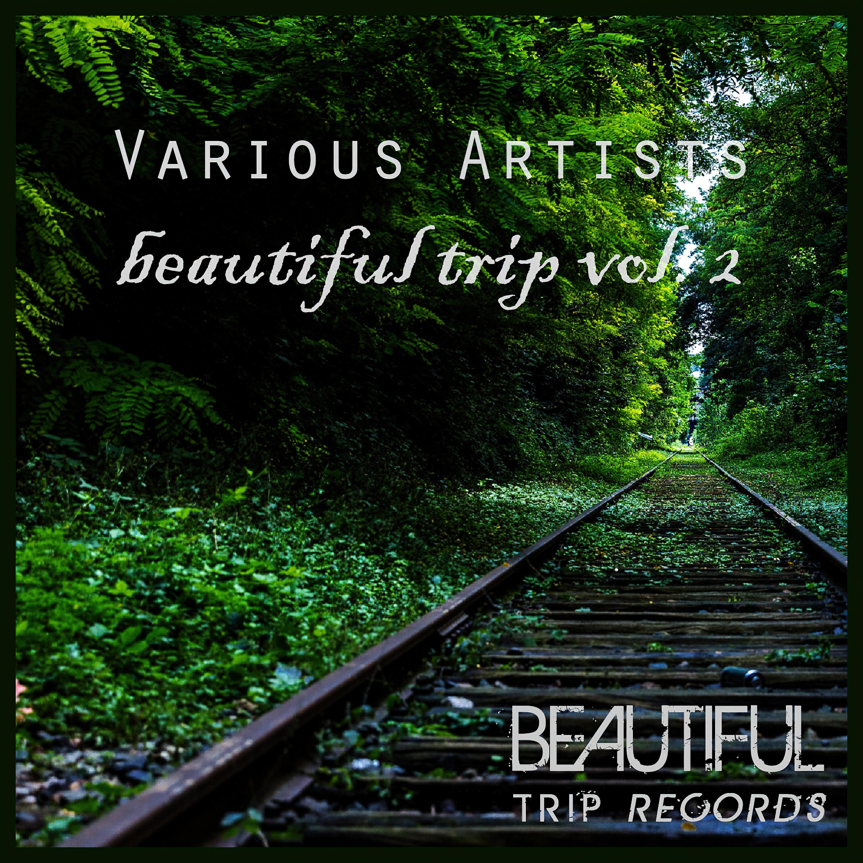 Релиз Beautiful Trip Vol. 2