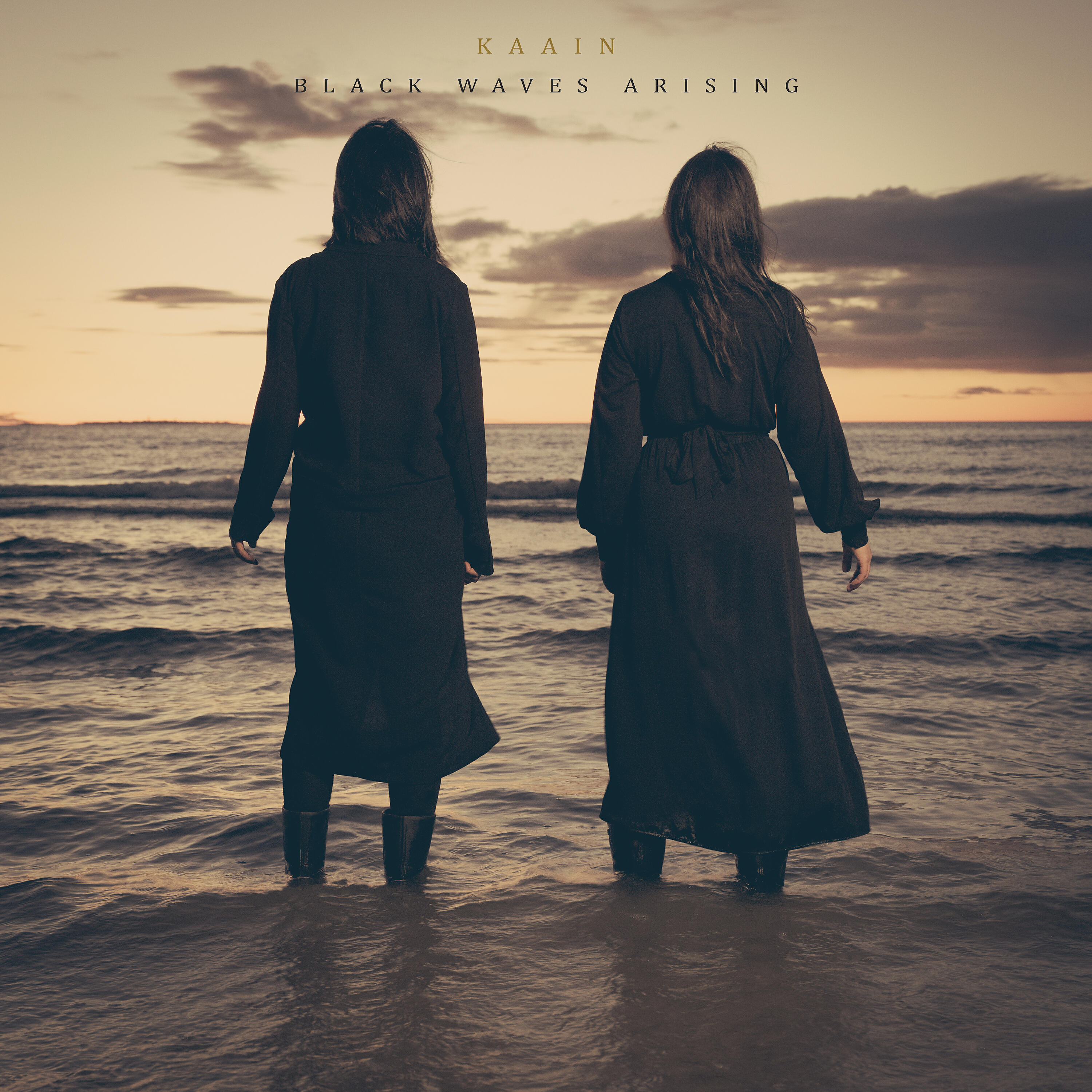 Релиз Black Waves Arising