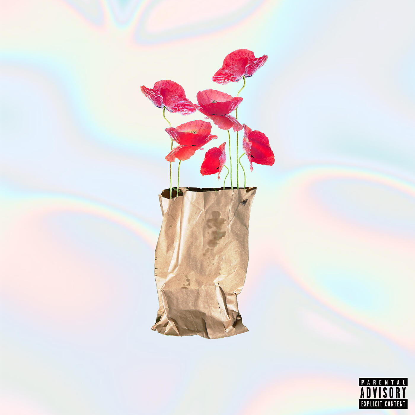 Релиз Brown Paper Bag (Maxi)