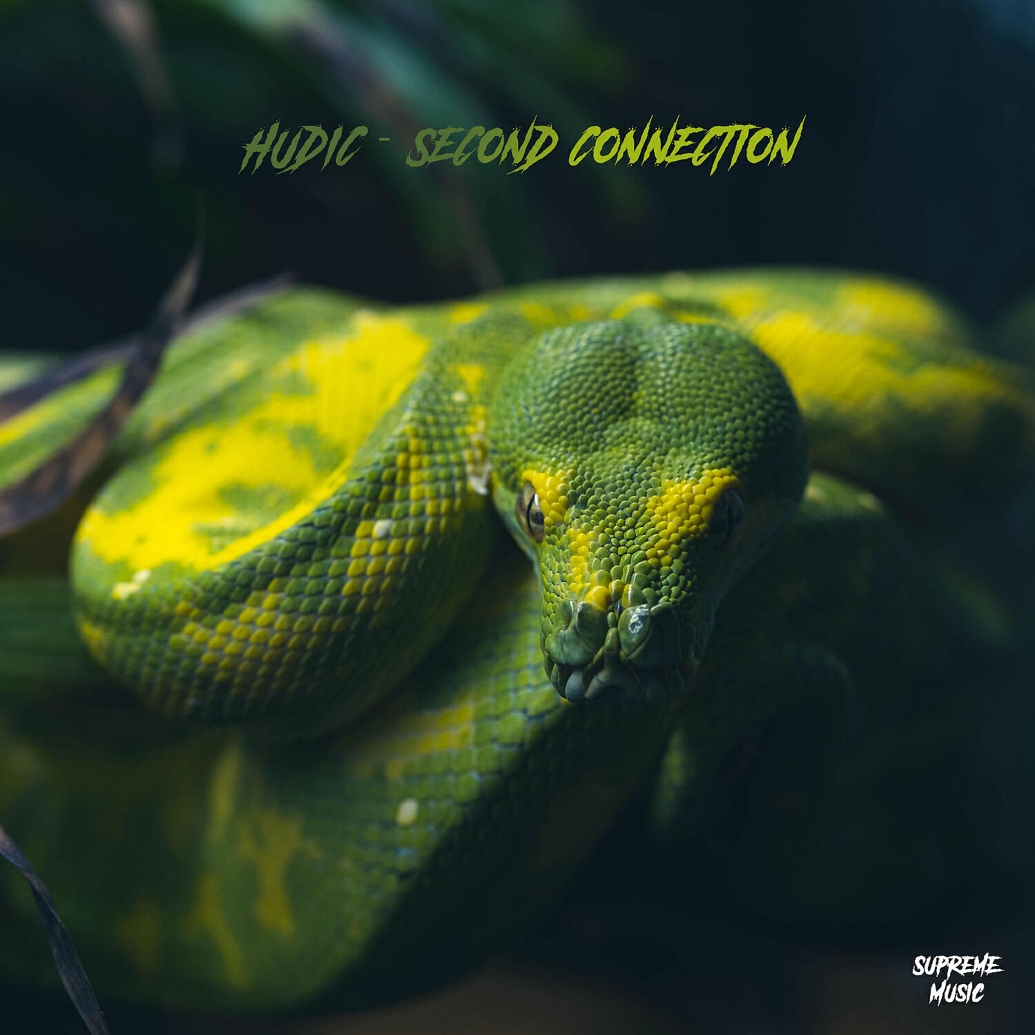 Релиз Second Connection