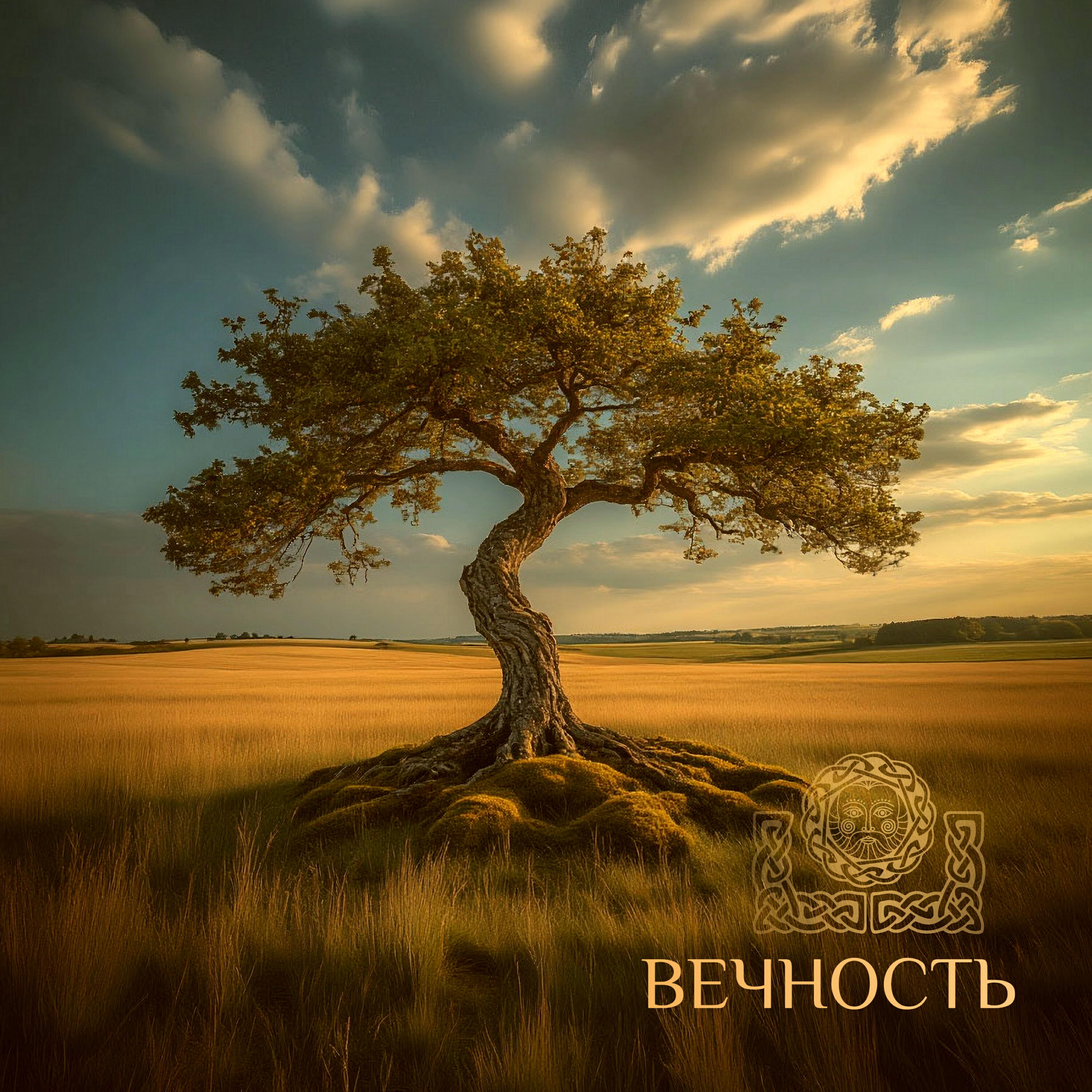 Релиз Вечность