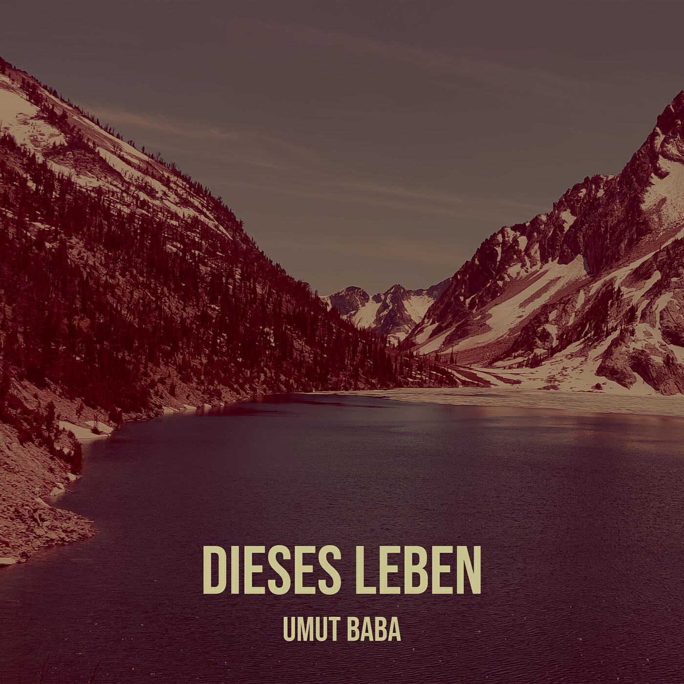 Релиз Dieses Leben