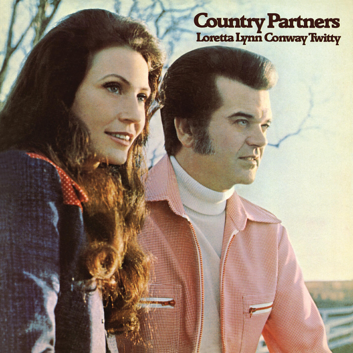 Постер альбома Country Partners