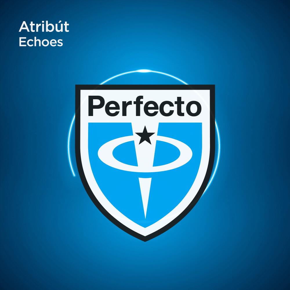 Релиз Echoes
