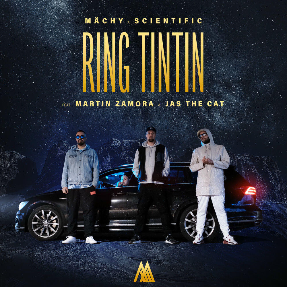Релиз Ring Tintin