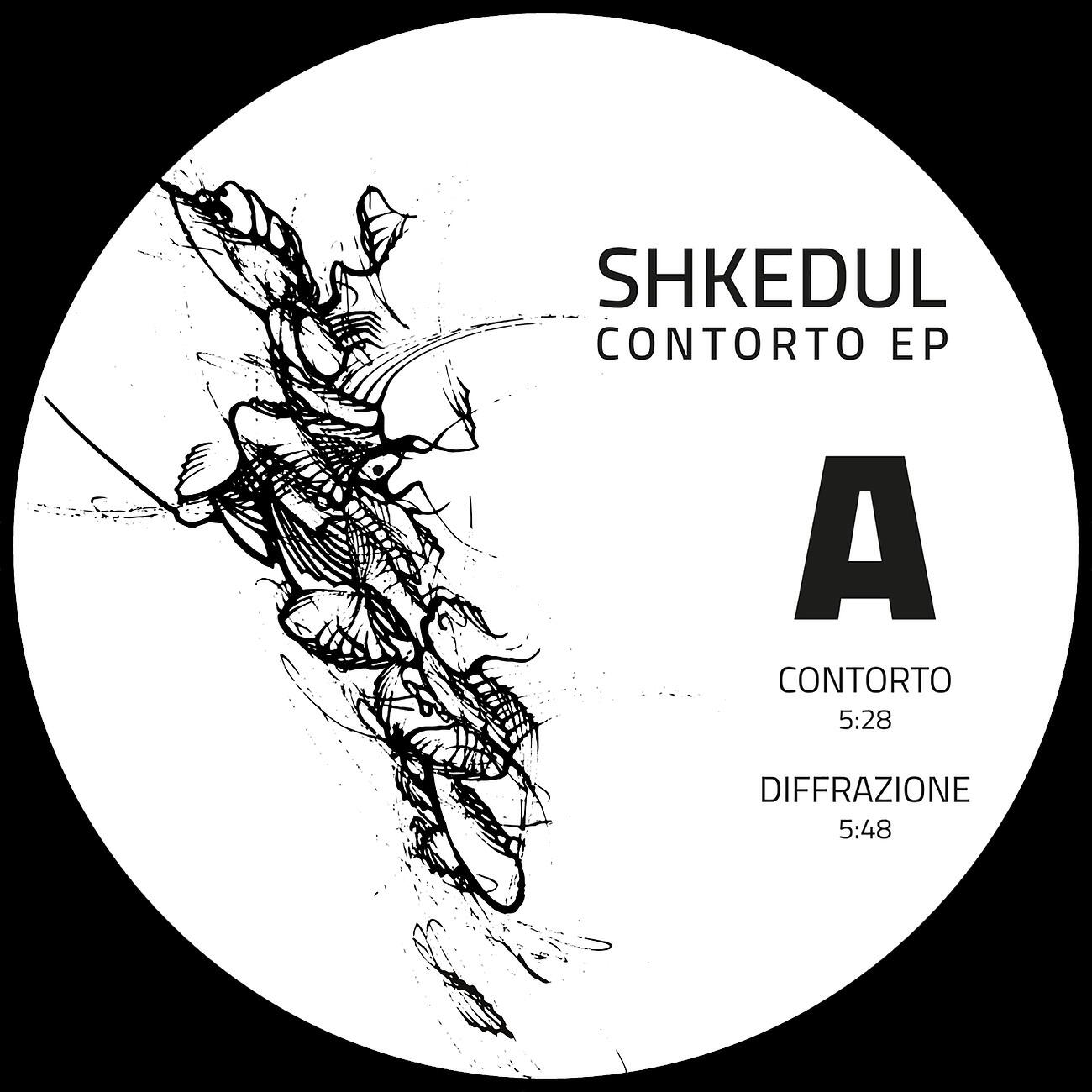 Релиз Contorto