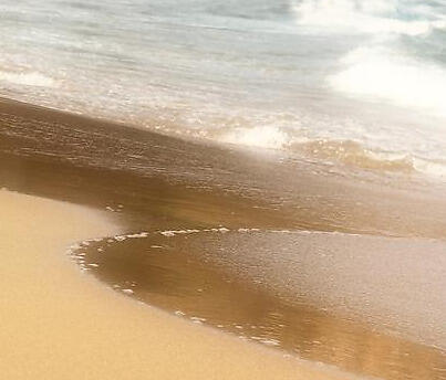 Ocean Sounds Collection