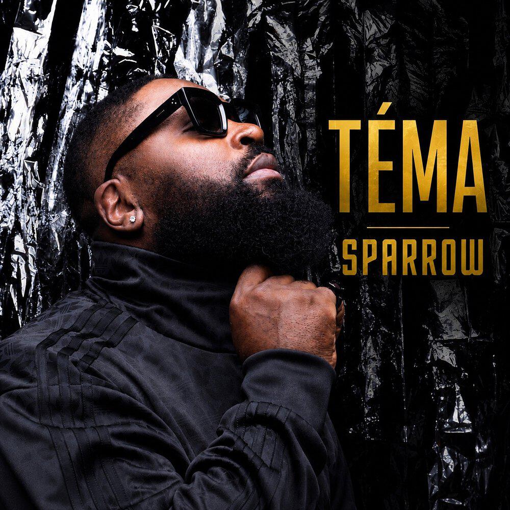 Релиз TEMA