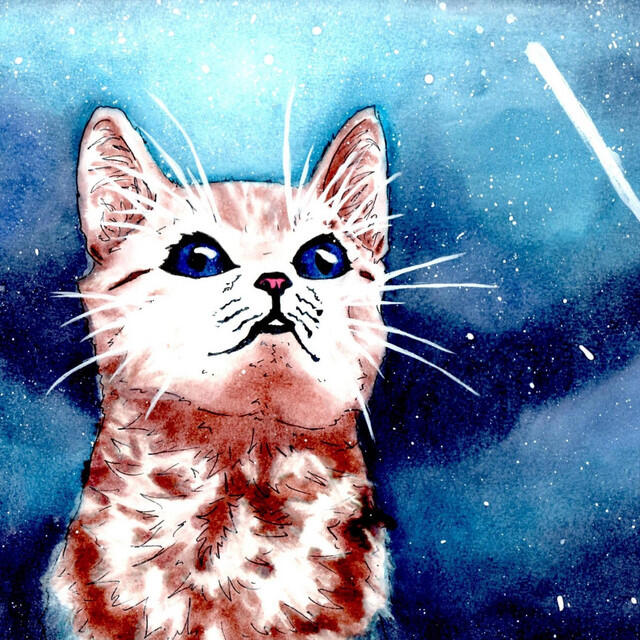 Релиз Spacecat McDangerous
