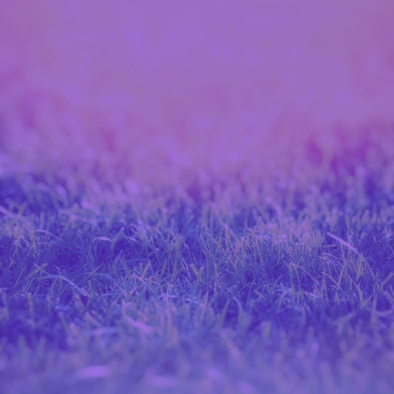 Релиз Music for Deep Thoughts - Duduk