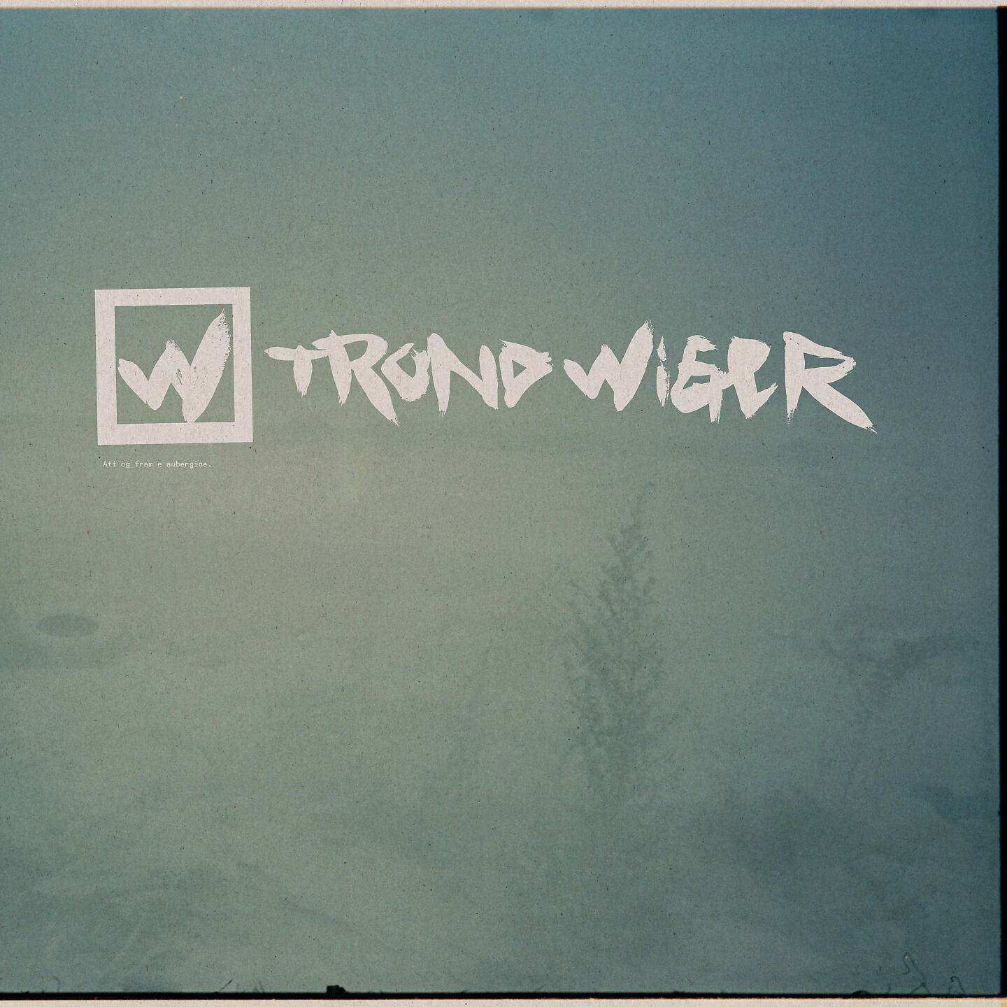 Trond Wiger