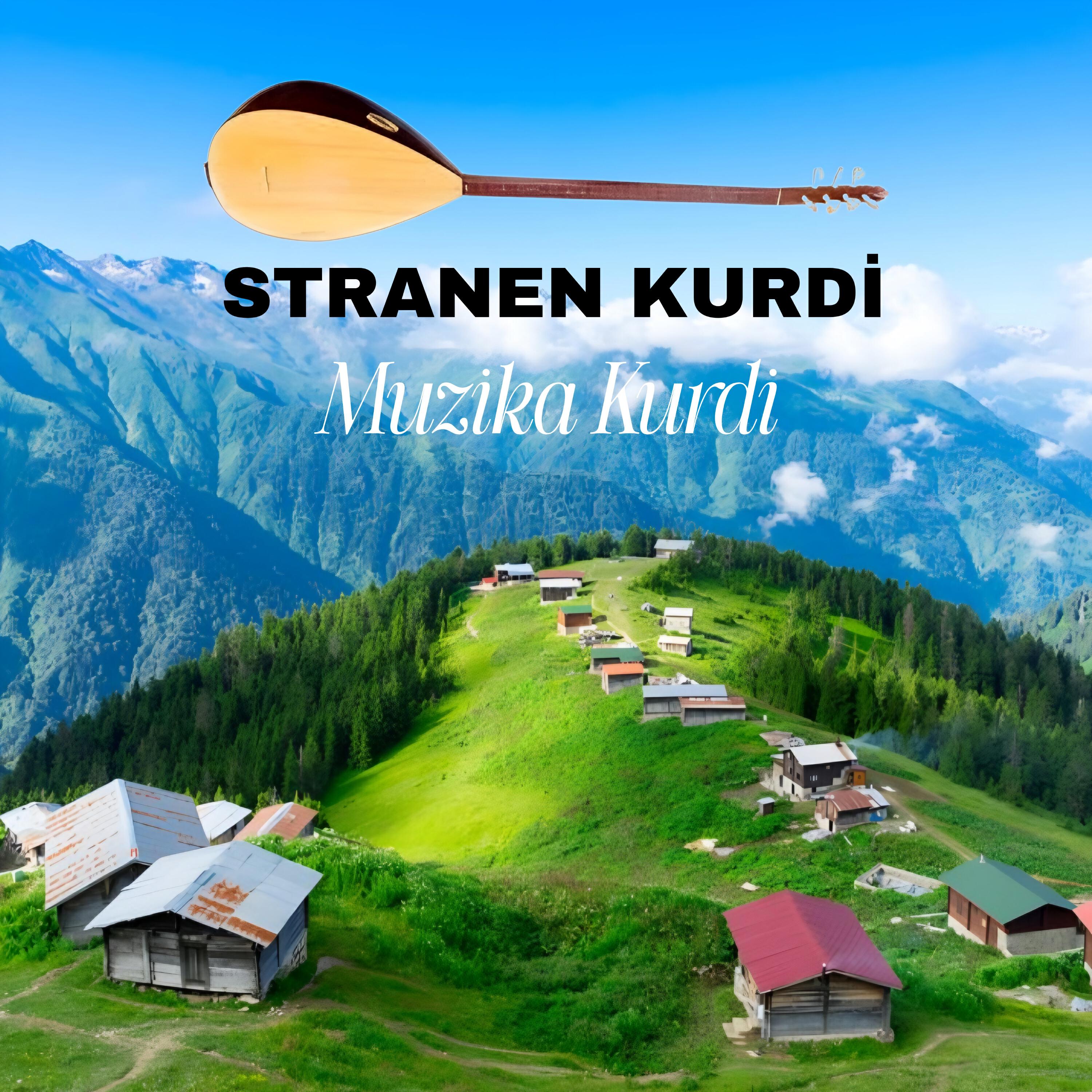 Релиз Muzika kurdi