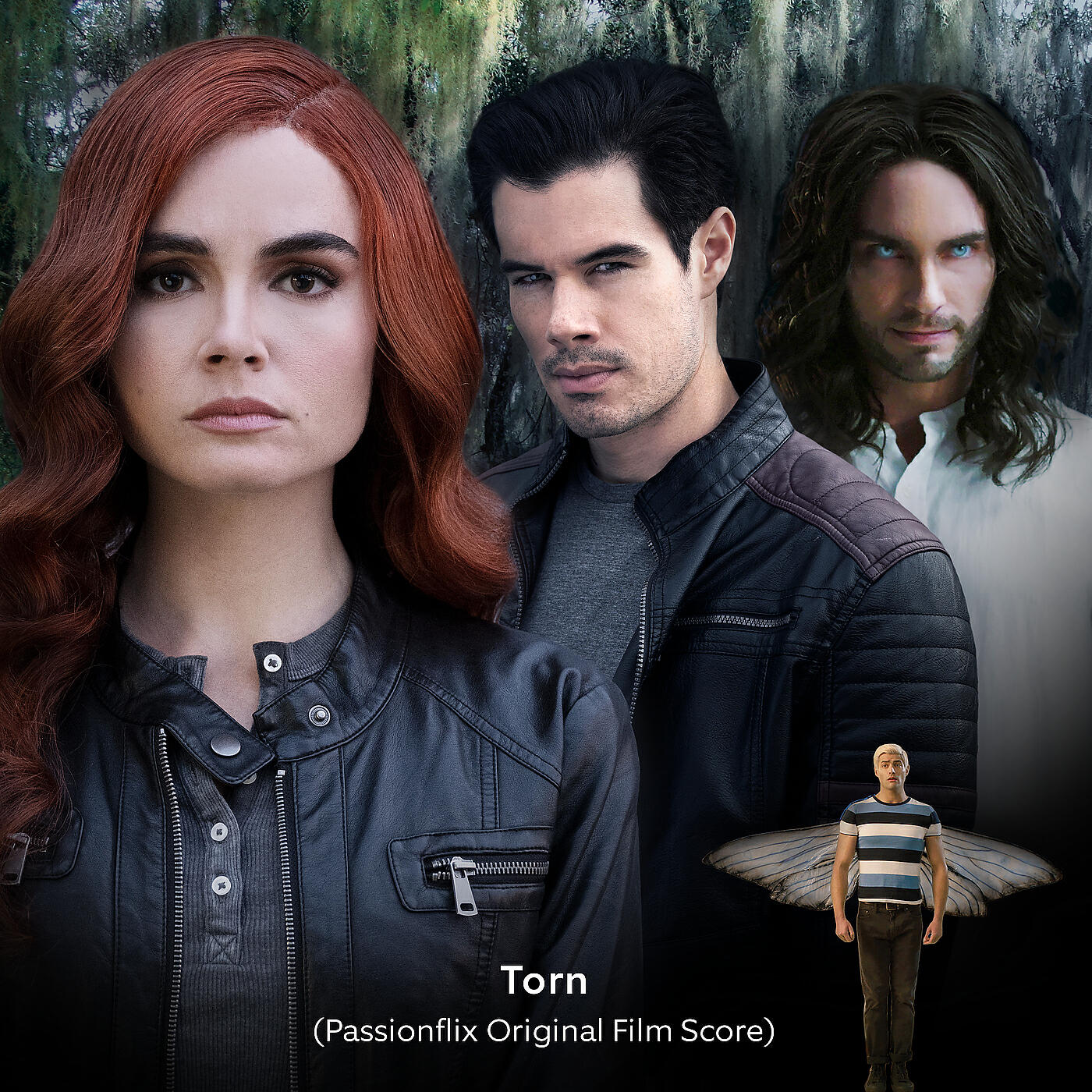 Релиз Torn (Passionflix Original Film Score)