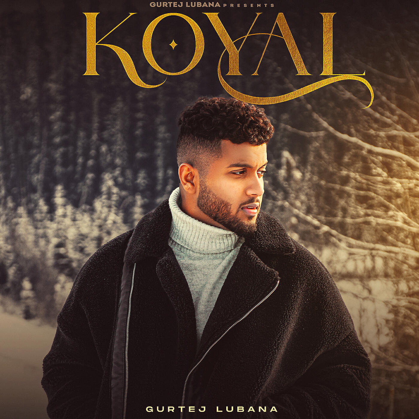 Постер альбома Koyal