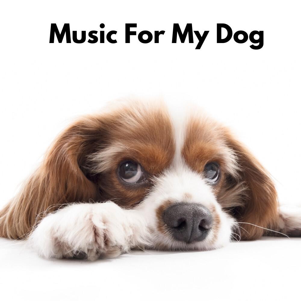 Релиз Music for My Dog