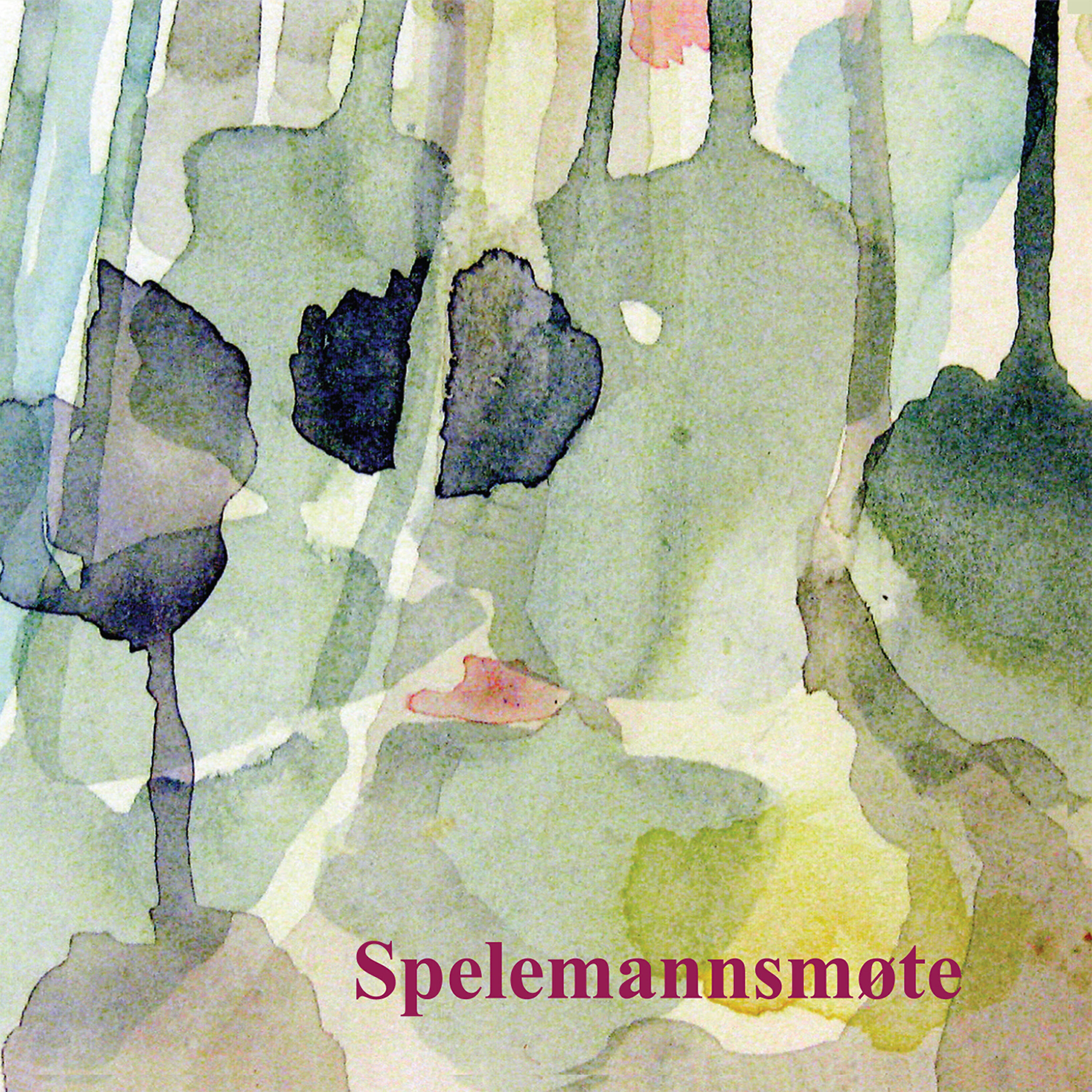 Релиз Spelemannsmøte