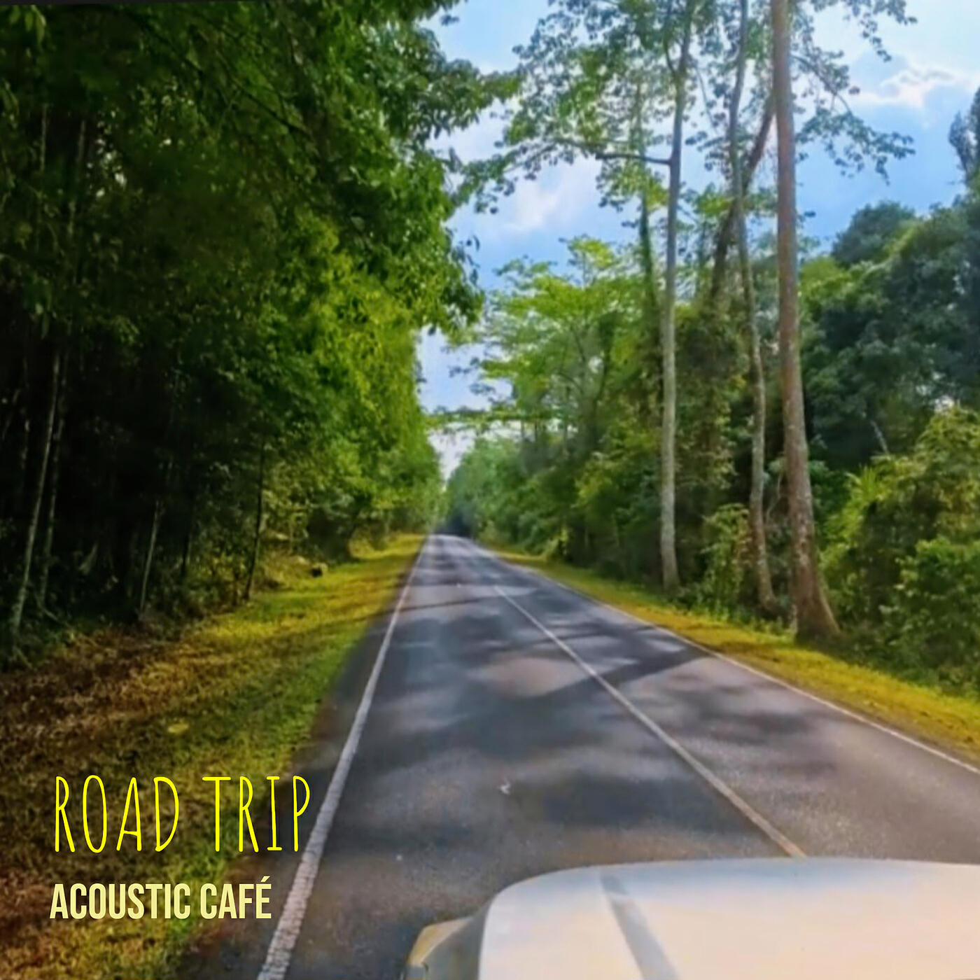 Релиз Road Trip