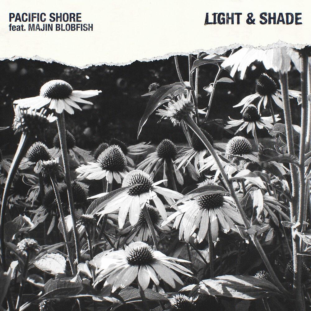 Релиз Light & Shade