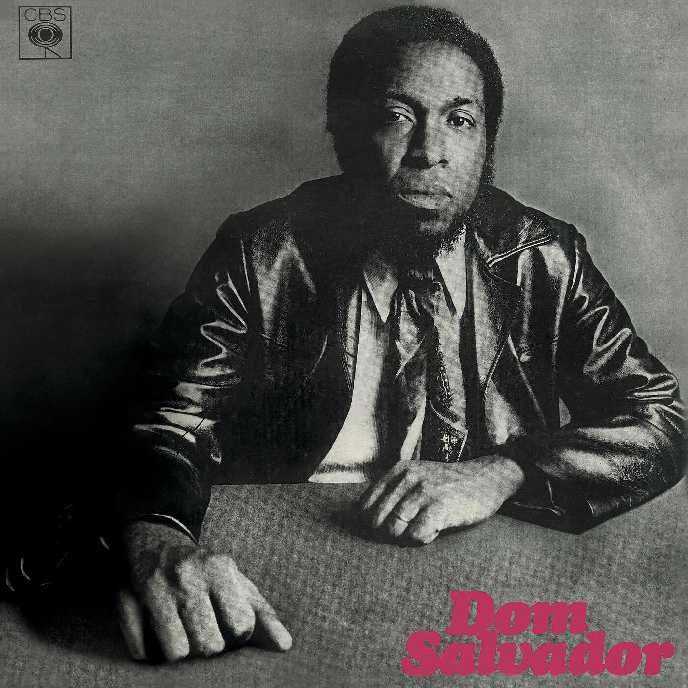 Релиз Dom Salvador