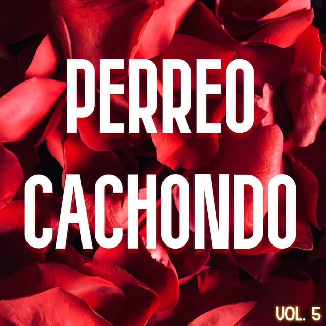 Постер альбома Perreo Cachondo Vol. 5