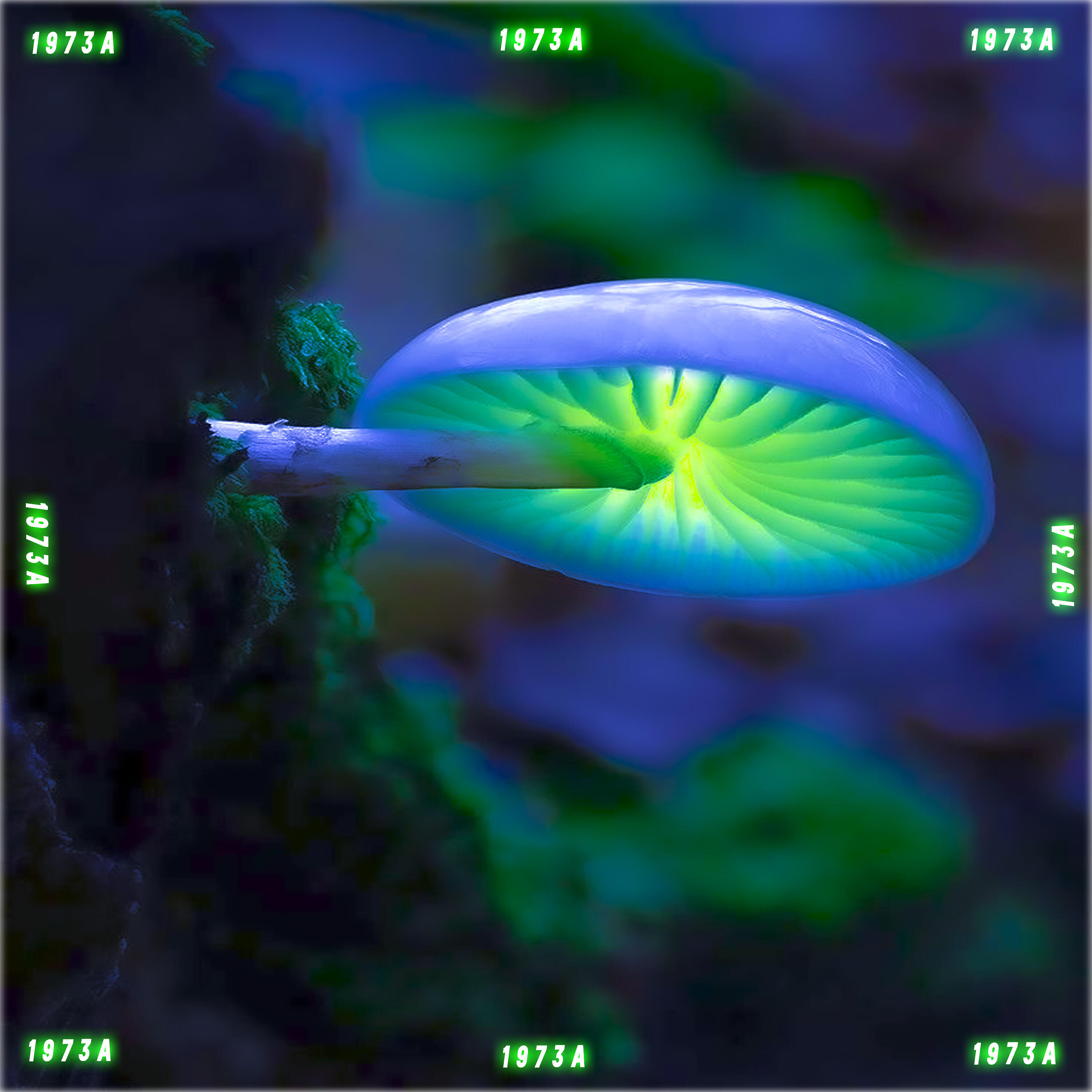 Релиз Stranger