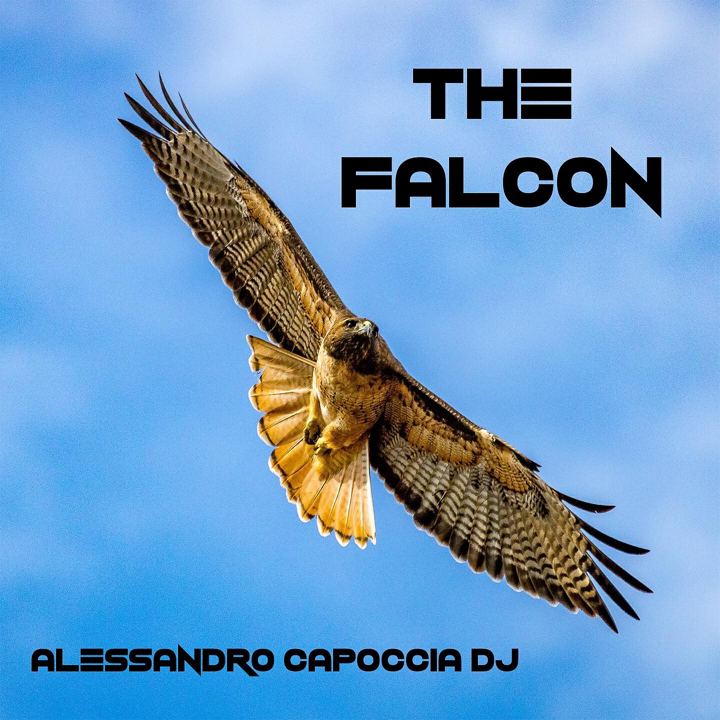 Релиз The Falcon