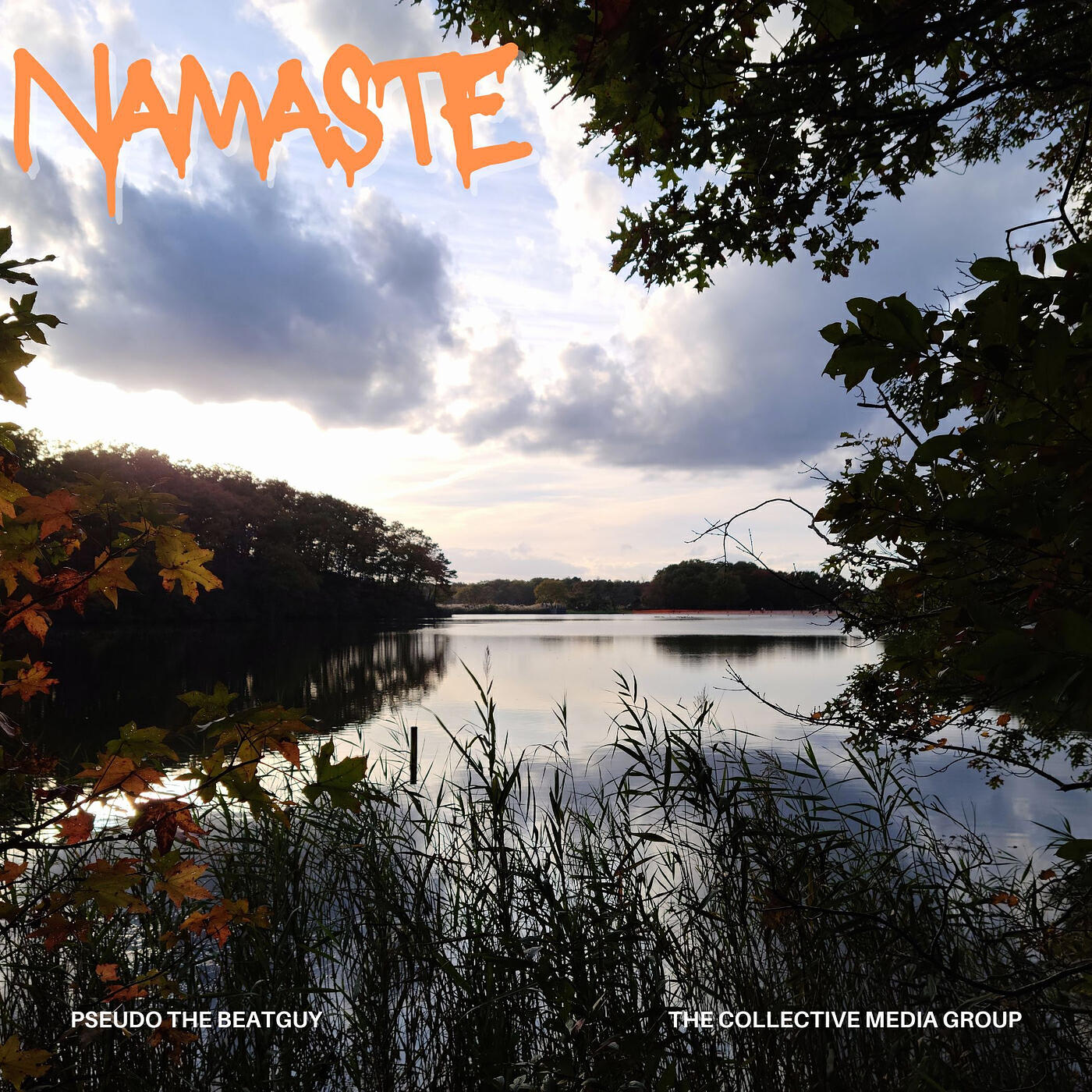 Релиз Namaste