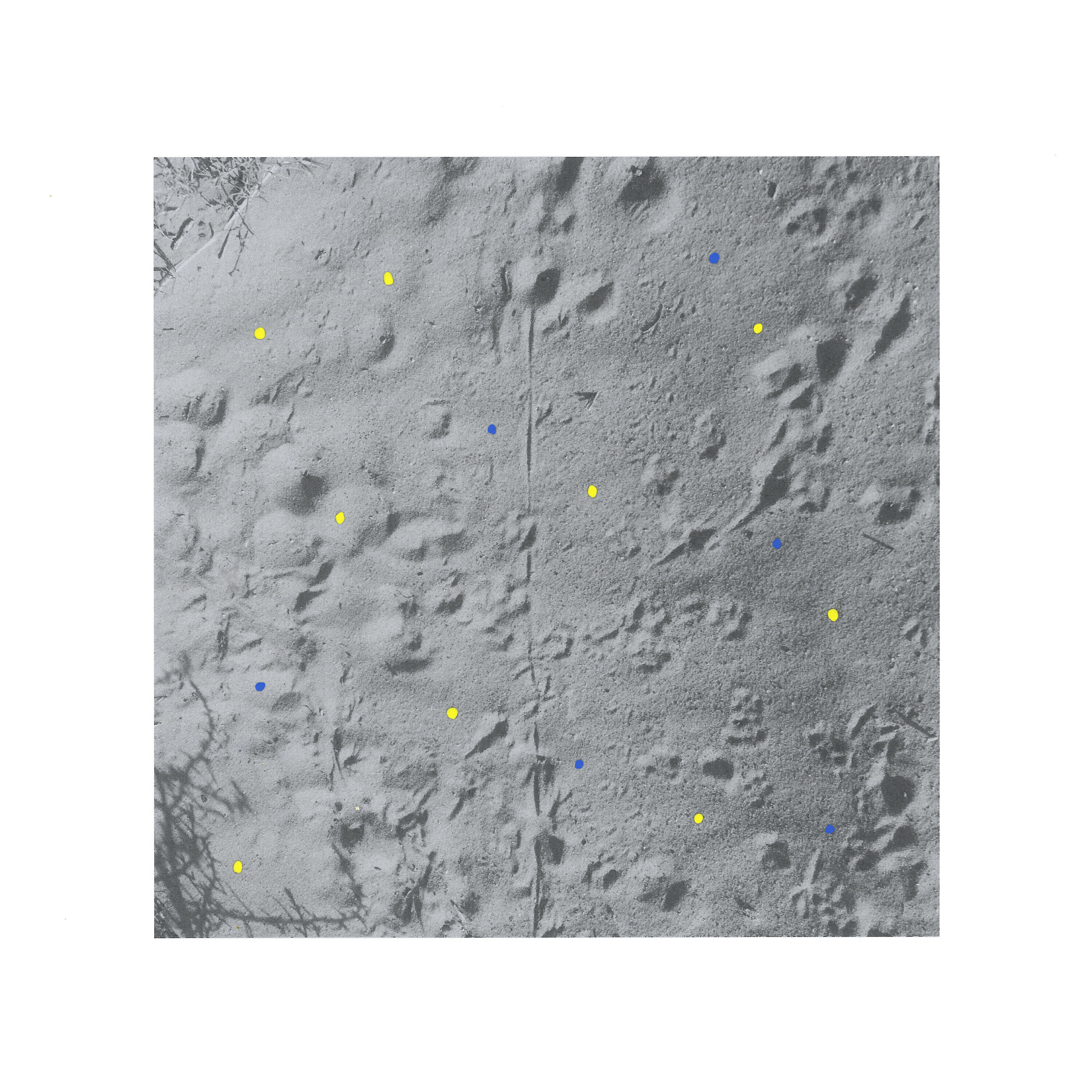 Релиз Changing Landscapes (Grand Escalante)