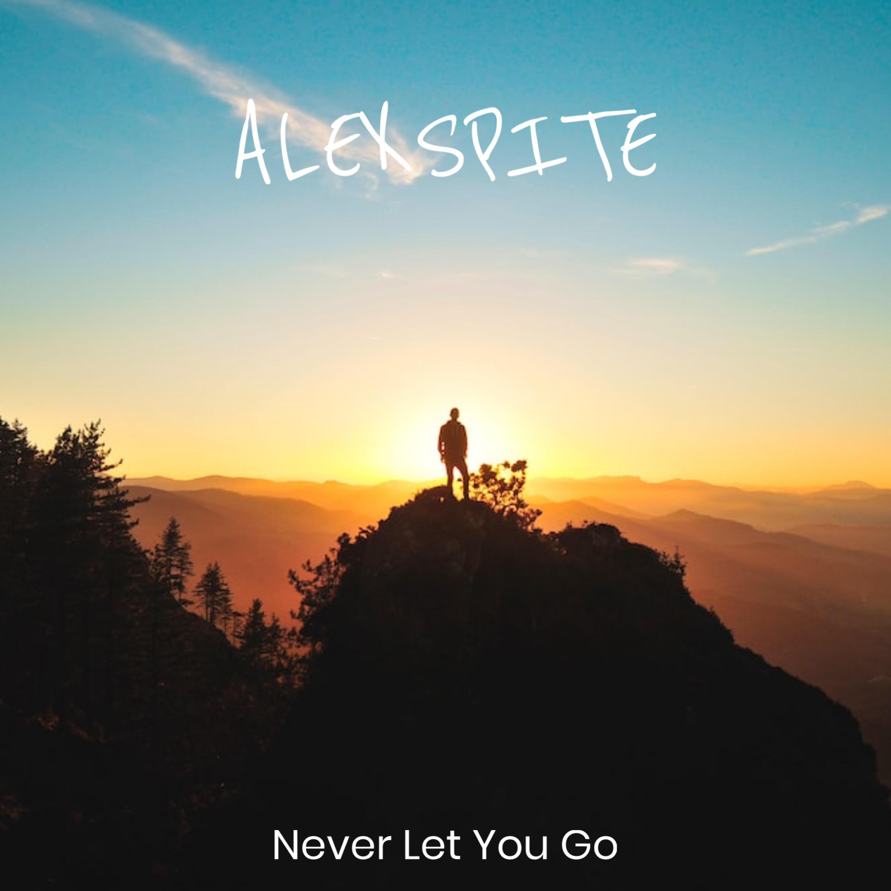 Релиз Never Let You Go